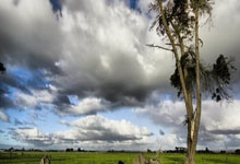 社保卡到 2027 年基本实现全国“一卡通”